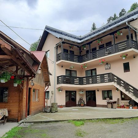 Lip Si Ely Otel Dîmbovicioara Dış mekan fotoğraf