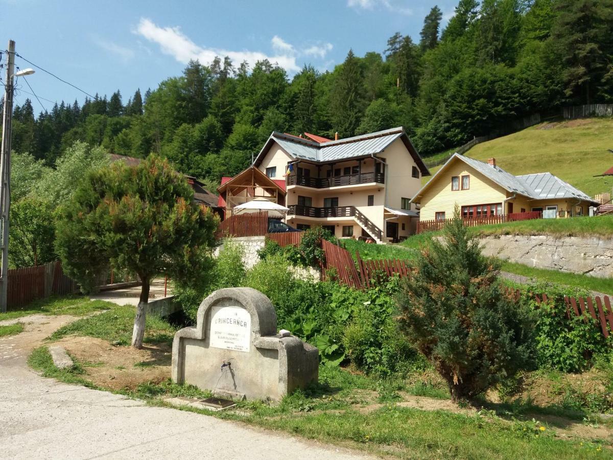 Lip Si Ely Otel Dîmbovicioara Dış mekan fotoğraf