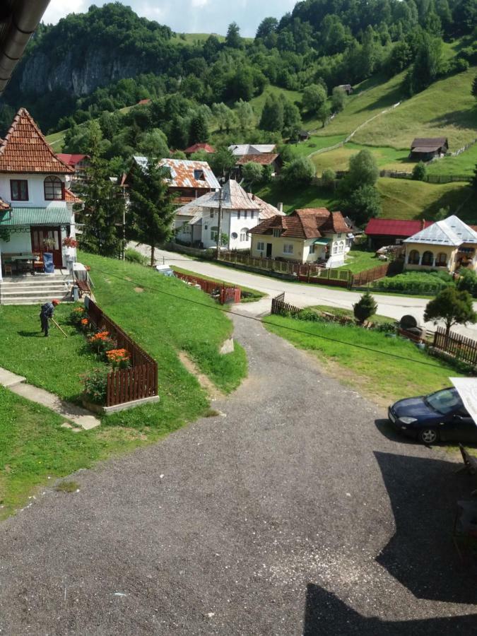 Lip Si Ely Otel Dîmbovicioara Dış mekan fotoğraf