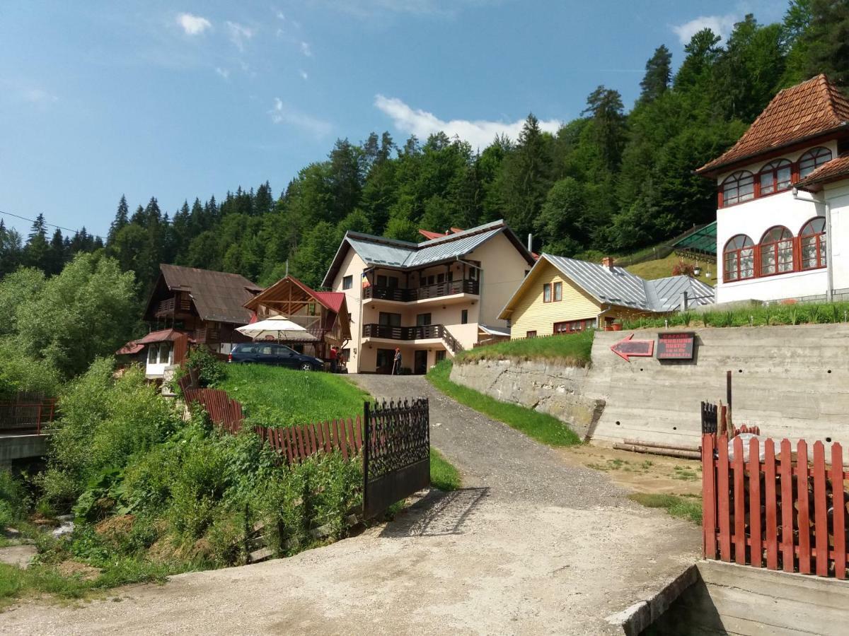 Lip Si Ely Otel Dîmbovicioara Dış mekan fotoğraf