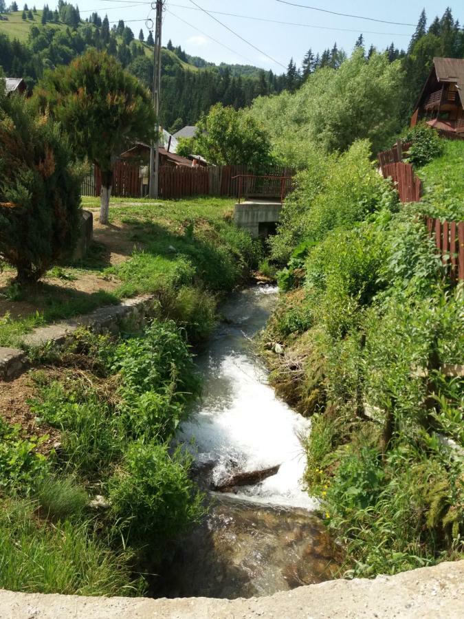 Lip Si Ely Otel Dîmbovicioara Dış mekan fotoğraf