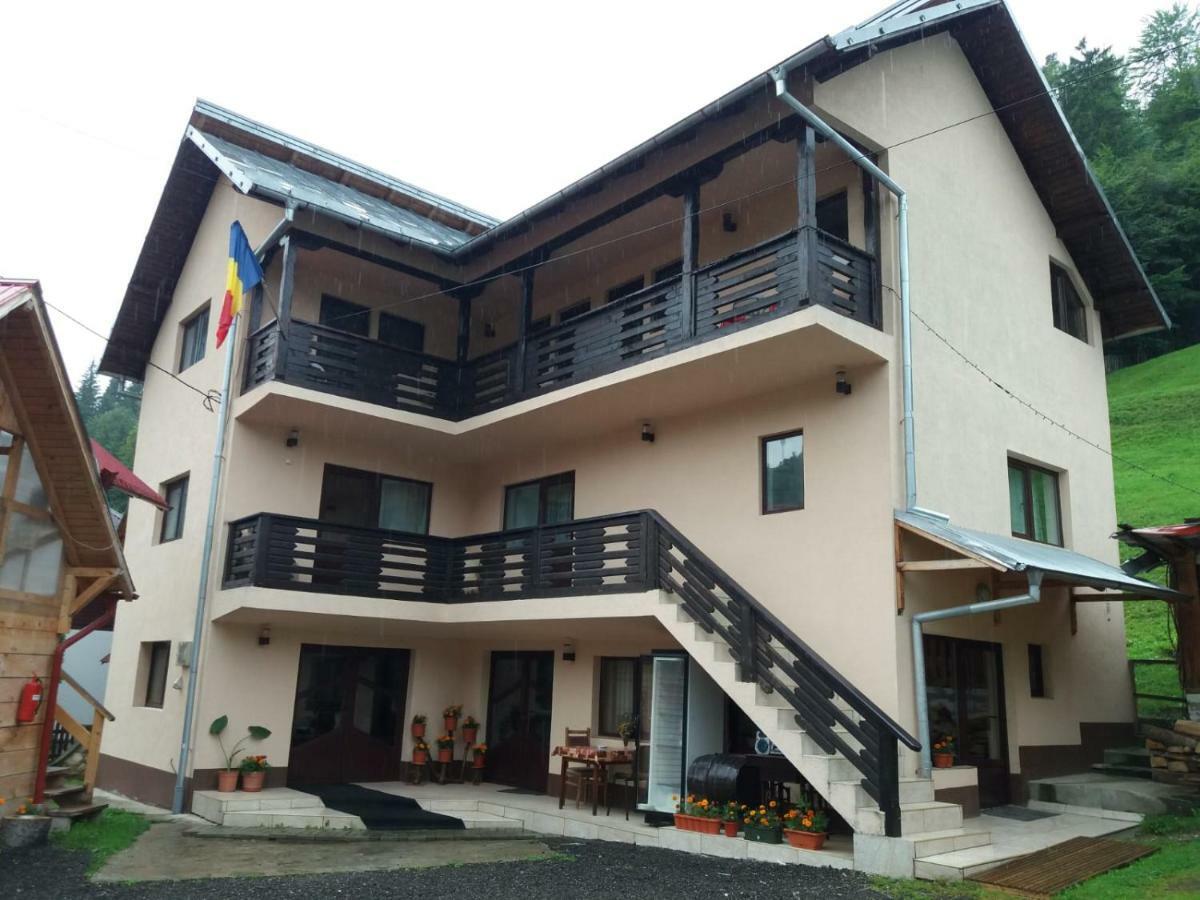 Lip Si Ely Otel Dîmbovicioara Dış mekan fotoğraf