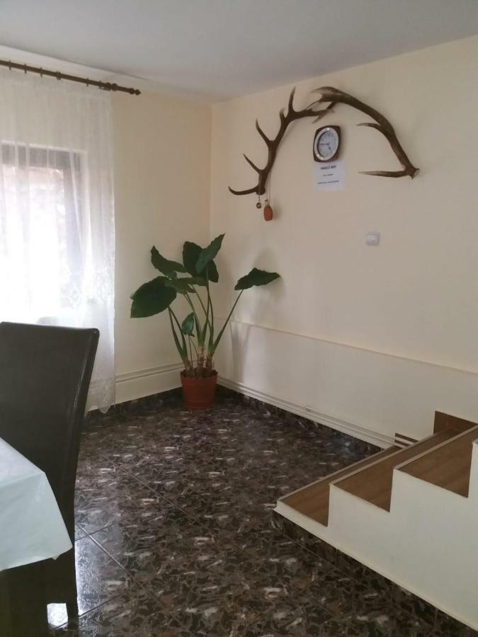 Lip Si Ely Otel Dîmbovicioara Dış mekan fotoğraf